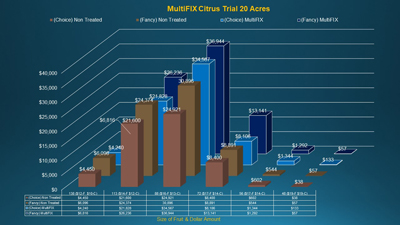 Reduced image of a revenue comparison graph, showing higher returns for MultiFIX-treated citrus trees compared to non-treated trees.