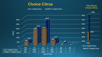 Reduced image showing choice citrus yield comparison, with MultiFIX-treated trees producing more boxes than non-treated trees.