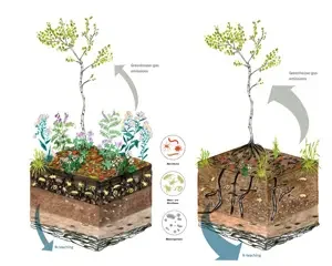 The key to thriving earthworm populations: MultiFIX