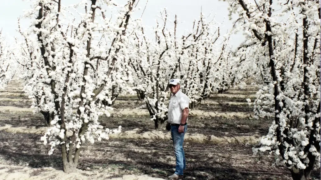 MultiFIX helps make healthy fruit trees and orchards