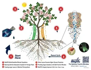 MultiFIX science hub featured image