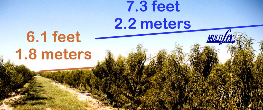 multifix-side-by-side-comparison-1024x429