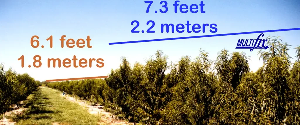 multifix-side-by-side-comparison-1024x429