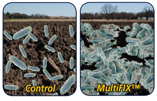 Side-by-side illustration comparing soil microbial populations with and without MultiFIX. The control image shows sparse beneficial microbes in the soil, while the MultiFIX-treated soil is teeming with bacterial activity.