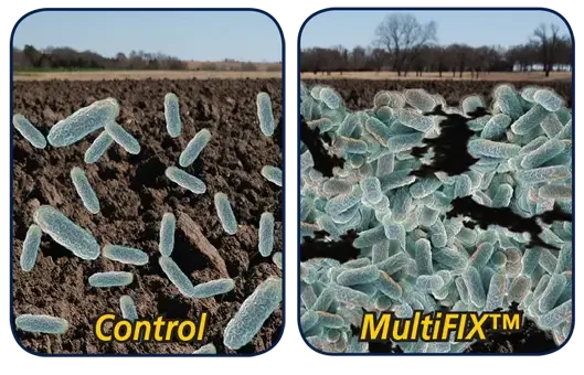 Side-by-side illustration comparing soil microbial populations with and without MultiFIX. The control image shows sparse beneficial microbes in the soil, while the MultiFIX-treated soil is teeming with bacterial activity.