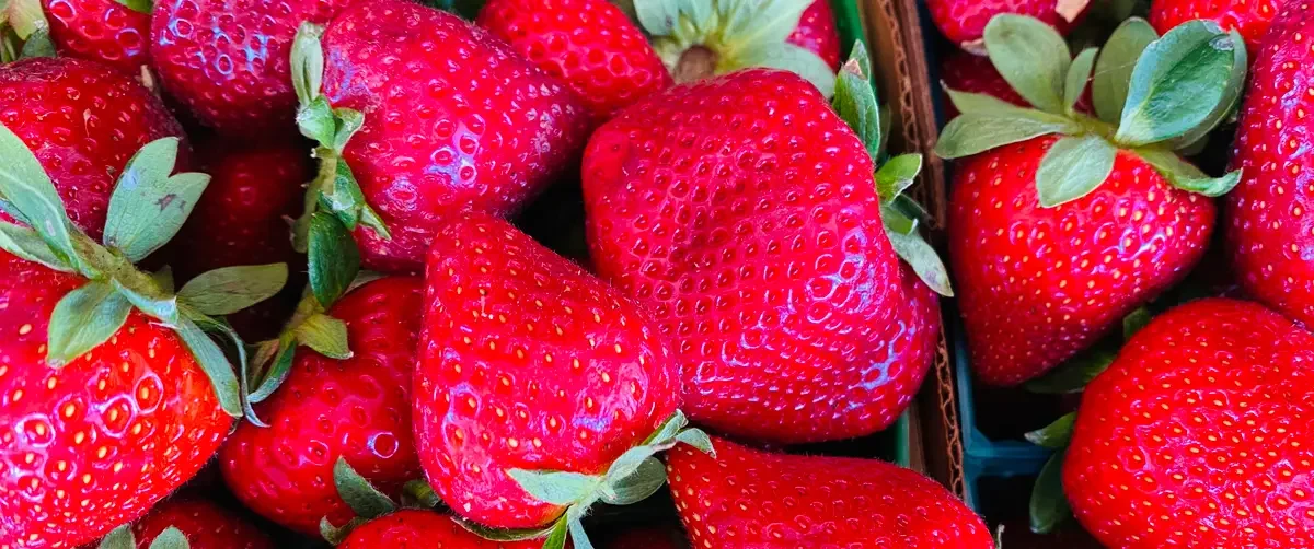 multifix-strawberries_7895-1200x502