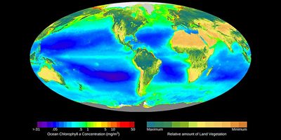 World map displaying global chlorophyll distribution, showing photosynthetic activity from land plants and oceanic phytoplankton.