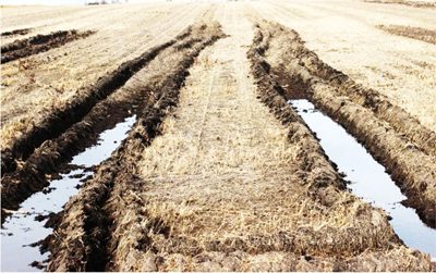 Reduced-size image of deep tire ruts filled with water in a farm field caused by heavy machinery, highlighting soil compaction issues.