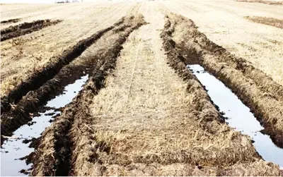 Reduced-size image of deep tire ruts filled with water in a farm field caused by heavy machinery, highlighting soil compaction issues.